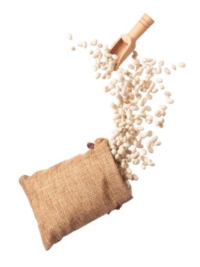 White bean fly throw up in Sack bag, white bean float explode, abstract cloud fly. Off-white beans splash throwing in Air. White background Isolated high speed shutter, freeze motion