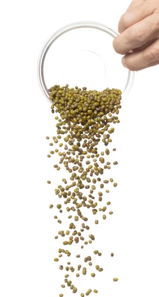 Green Mung Beans Fly Throw Glass Bowl Green Mung Bean —  Fotos de Stock