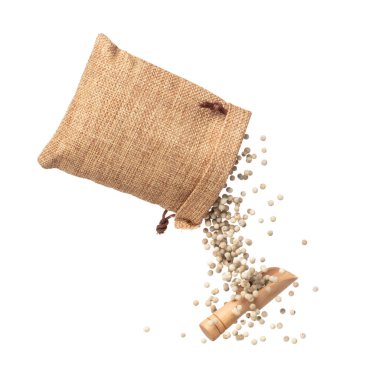 White Pepper seeds fall down pour in sack bag, white Pepper float explode, abstract cloud fly. Peppercorn splash throwing in Air. White background Isolated high speed shutter, freeze motion