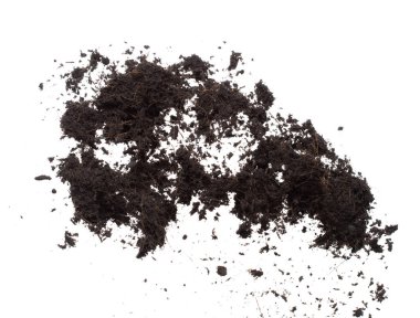 Kara gübre ekilmeye hazır, iyi organik topraklar bahçe çiftçiliği için kök salmış, ince bir toprak parçası havayı tozla kaplıyor. Beyaz arkaplan üzerinde yüksek hız dondurucu çekim izole edildi.