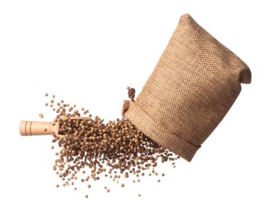 Coriander seed fly throw up in Sack Bag, brown coriander seed float explode, abstract cloud fly. Dried coriander seeds splash throwing in Air. White background Isolated high speed shutter, freeze