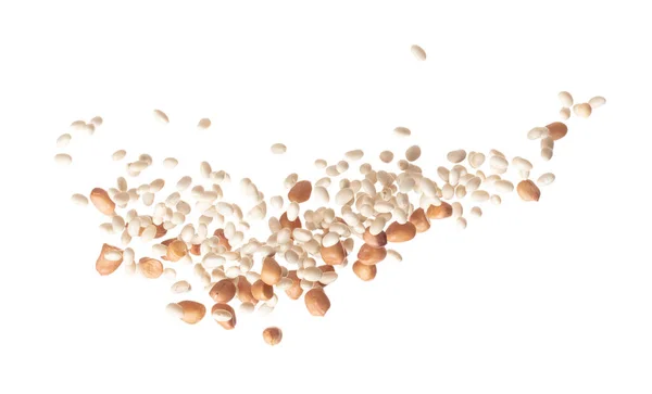 Mix White Peanut Beans Fall Explosion Several Kind Bean Float — Zdjęcie stockowe