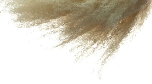 Afro Peruk Saç Stili Sinek Sonbahar Patlaması Altın Sarısı Afro — Stok fotoğraf