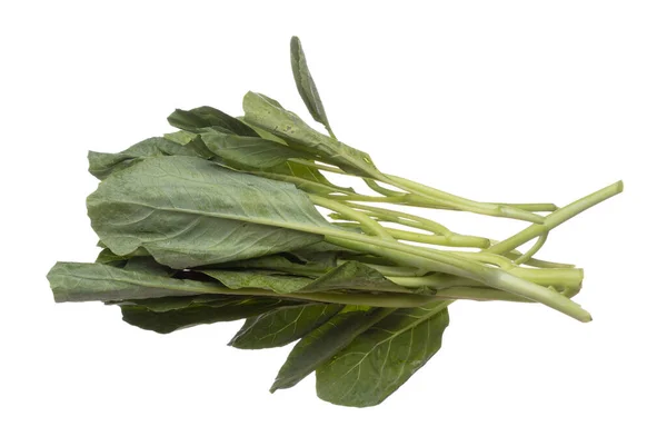 Kale Fly Mid Air Green Fresh Vegetable Chinese Kale Falling — Stok fotoğraf
