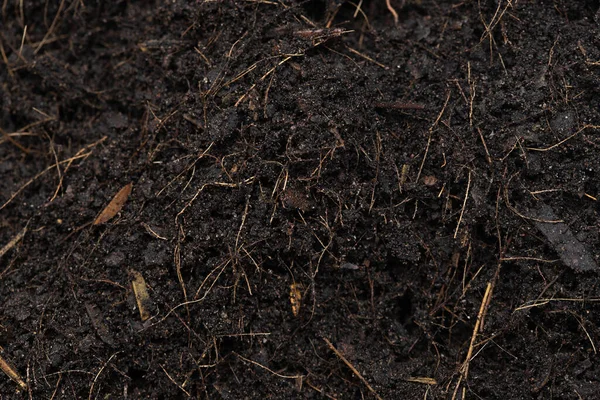 Black Düngen Boden Bereit Für Die Aussaat Gute Organische Böden — Stockfoto