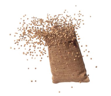 Coriander seed fly throw up in Sack Bag, brown coriander seed float explode, abstract cloud fly. Dried coriander seeds splash throwing in Air. White background Isolated high speed shutter, freeze