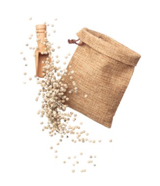 White Pepper seeds fall down pour in sack bag, white Pepper float explode, abstract cloud fly. Peppercorn splash throwing in Air. White background Isolated high speed shutter, freeze motion