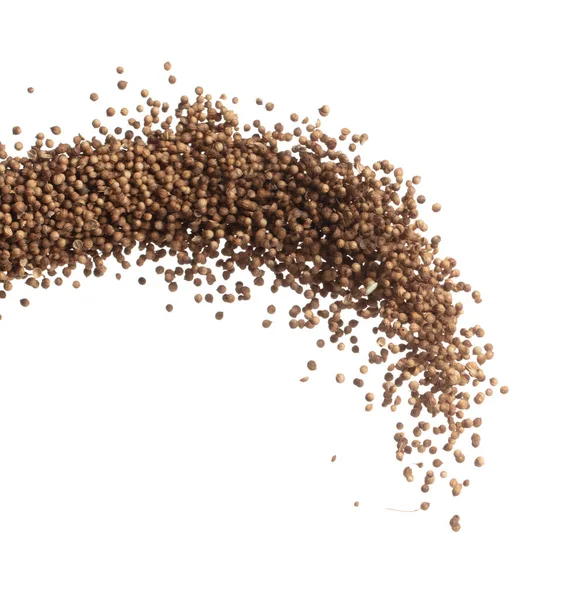 Coriander Seed Fly Explosion Brown Coriander Seed Float Explode Abstract — Φωτογραφία Αρχείου