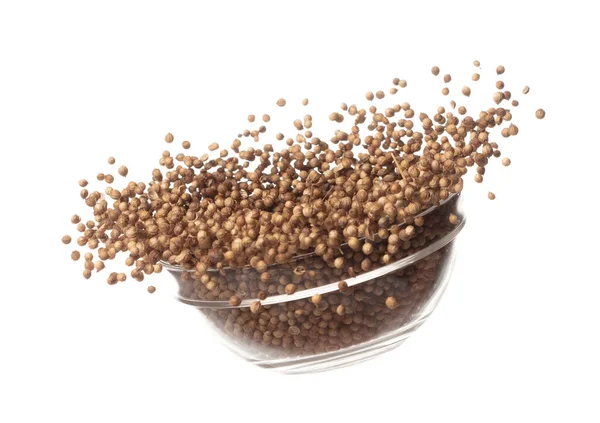 Coriander Seed Fly Throw Glass Bowl Brown Coriander Seed Float — 图库照片