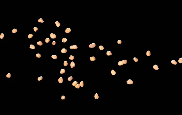 Pinda Vliegende Explosie Bruine Graan Pinda Exploderen Abstracte Wolk Vliegen — Stockfoto