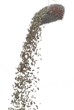 Ayçiçeği tohumu havada uçuşuyor. Ayçiçeği tohumu dökülüyor, patlama şekil çizgisi şeklinde yüzüyor. Beyaz arkaplan izole edilmiş yüksek hız deklanşörü