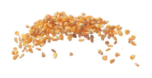 トウモロコシ乾燥種子穀物は空中で飛ぶ 黄色の黄金のトウモロコシの種子の落下散乱 爆発の形のライングループに浮かぶ 白い背景隔離されたフリーズの動き高速シャッター — ストック写真