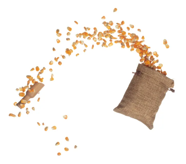 Corn Dried Seed Grain Fly Sack Bag Yellow Golden Corn — Stock Photo, Image