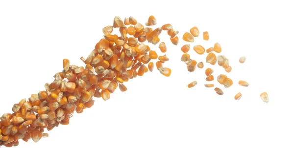 Suszone Ziarna Kukurydzy Latają Powietrzu Żółty Złoty Ziarno Kukurydzy Spada — Zdjęcie stockowe