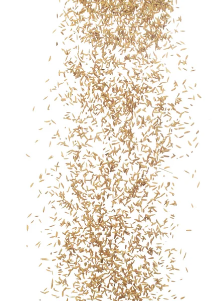 Paddy Rice Obilí Létat Vzduchu Žlutý Zlatý Paddy Rice Padající — Stock fotografie