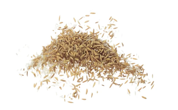 Paddy Reiskörner Fliegen Der Luft Gelb Golden Paddy Rice Fallen — Stockfoto