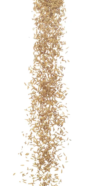 稻谷在半空中飘扬 黄色的金黄稻田散落 爆竹呈线形飘浮 白色背景隔离冷冻运动高速快门窗 — 图库照片