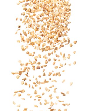 Roasted Peanut bean fall down in group, Roasted Peanut bean float explode, abstract cloud fly. Roasted Peanut beans splash throwing in Air. White background Isolated high speed shutter, freeze motion