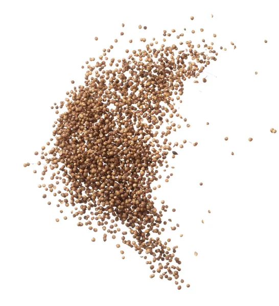 Coriander Seed Fly Explosion Brown Coriander Seed Float Explode Abstract — Stock Photo, Image