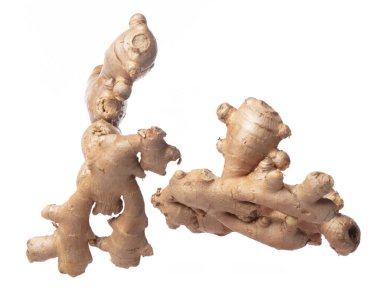 Zencefil havada uçar, taze sebze ve zencefil düşer. Organik taze bitkisel zencefil kökü. Uzun boylu, dokuyu yakın. Beyaz arkaplan izole edilmiş yüksek hız deklanşörü