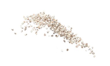 Job's Tear flying explosion, white grain job tear float abstract cloud fly. Beautiful job's tear splash stop in air, food object design. White background isolated high speed shutter freeze motion