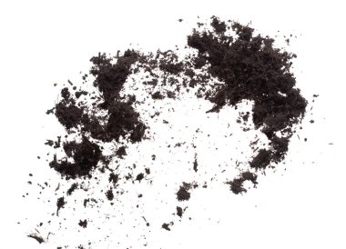 Kara gübre ekilmeye hazır, iyi organik topraklar bahçe çiftçiliği için kök salmış, ince bir toprak parçası havayı tozla kaplıyor. Beyaz arkaplan üzerinde yüksek hız dondurucu çekim izole edildi.