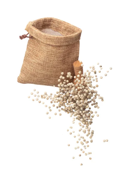 White Pepper Seeds Fall Pour Sack Bag White Pepper Float — Fotografia de Stock