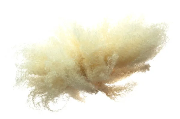 アフロウィッグの髪のスタイルは 秋の爆発飛ぶ 金色のブロンドのアフロ女性のウィッグの髪は空中に浮かんでいます アフロウィッグの髪の延長風吹き雲スローします 白地分離高速凍結運動 — ストック写真