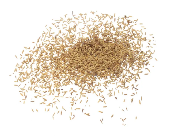 Paddy Rice Grain Voler Plein Air Riz Golden Paddy Jaune — Photo