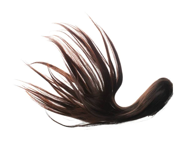 Μακριά Ίσια Περούκα Μαλλιά Στυλ Μύγα Πτώση Έκρηξη Μαύρη Μελαχρινή — Φωτογραφία Αρχείου