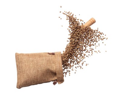 Coriander seed fly throw up in Sack Bag, brown coriander seed float explode, abstract cloud fly. Dried coriander seeds splash throwing in Air. White background Isolated high speed shutter, freeze