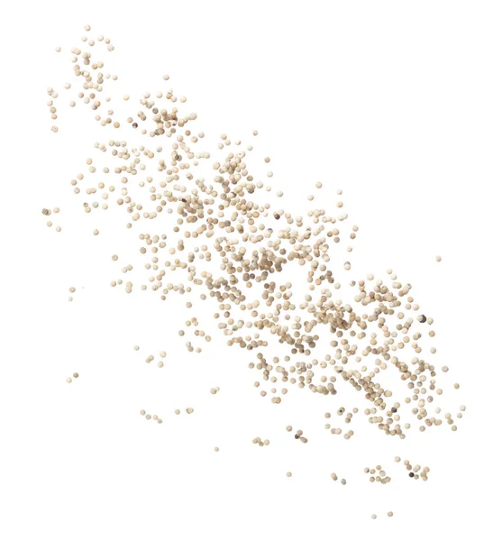 White Pepper Seeds Fly Explosion White Pepper Float Explode Abstract — Stok fotoğraf