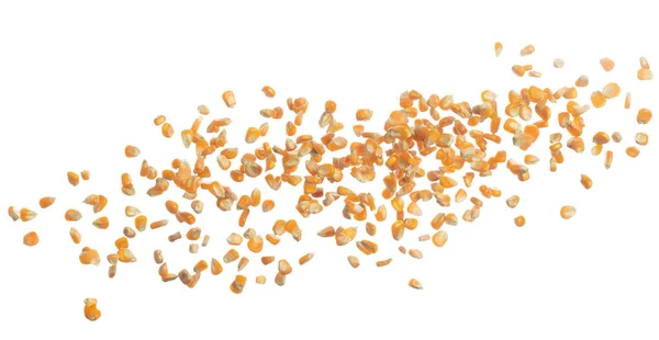 Кукурузное Зерно Летит Воздухе Желтый Золотой Кукурузный Семя Падает Разброс — стоковое фото