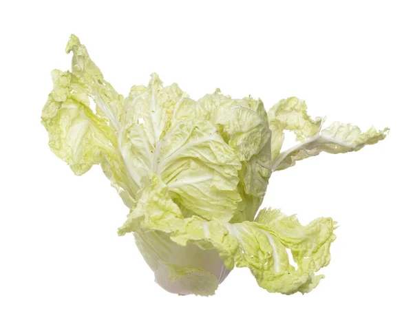 Chinakohl Fliegt Der Luft Grünes Frisches Gemüse Chinakohl Fällt Blatt — Stockfoto