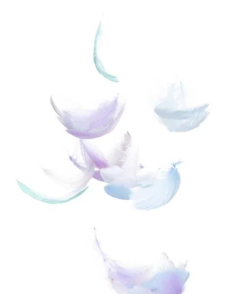 Veel Pastel Feather Vliegen Vallen Air Witte Achtergrond Geïsoleerd Gezwollen — Stockfoto