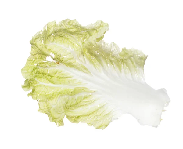 大白菜在半空中飞舞 青菜大白菜在空中飘落 有机新鲜蔬菜与大白菜叶一起食用 紧凑型质感 白色背景隔离冻结运动 — 图库照片