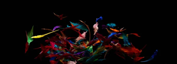 Birçok Renk Tüy Sineği Siyah Arka Plandan Havaya Düşer Kabarık — Stok fotoğraf