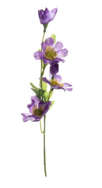 Foglia Verde Artificiale Molte Foglie Tropicali Fiore Viola Con Ramo — Foto Stock