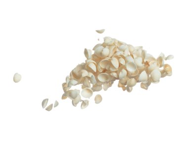 Deniz kabuğu havaya sıçrıyor. Deniz kabuğu patlaması, soyut bulut sineği. Birçok küçük beyaz deniz kabuğu birçok grupta dağılır. Beyaz arkaplan yüksek hız deklanşör dondurma hareketini izole etti