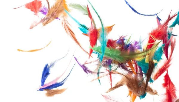 Viele Farbe Feder Fliegen Fallen Schöne Spiralmuster Der Luft Über — Stockfoto