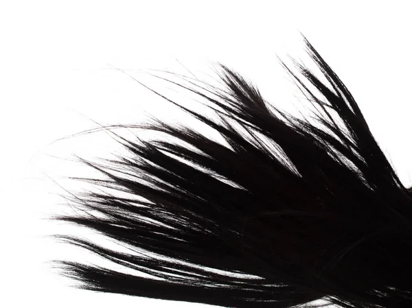 Длинные Прямые Волосы Парик Стиль Мухи Падение Взрыва Черная Женщина — стоковое фото