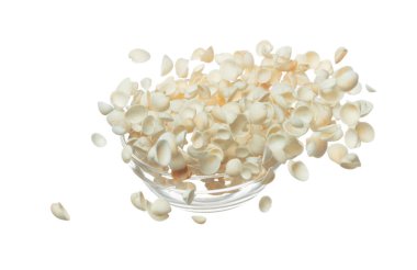 Deniz kabuğu havaya sıçrıyor. Deniz kabuğu patlaması, soyut bulut sineği. Birçok küçük beyaz deniz kabuğu birçok grupta dağılır. Beyaz arkaplan yüksek hız deklanşör dondurma hareketini izole etti