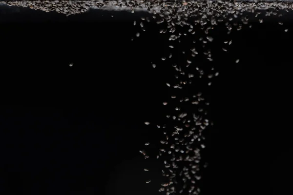Semillas Sésamo Negro Volando Explosión Onda Grano Negro Flotando Nube — Foto de Stock
