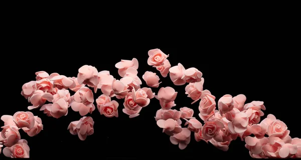 Roze Kleine Rose Flower Explosie Omhoog Veel Piepschuim Rozen Aanwezig — Stockfoto