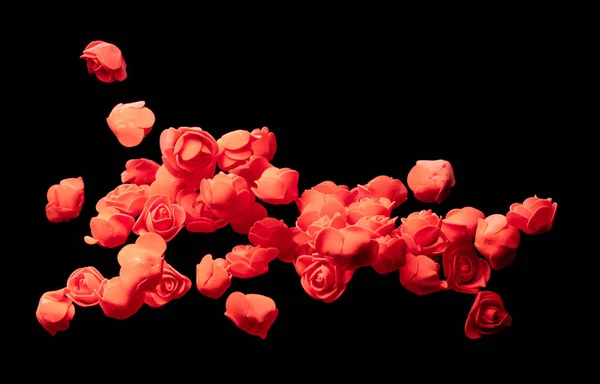 Κόκκινο Μικρό Τριαντάφυλλο Λουλούδι Έκρηξη Επάνω Πολλοί Styrofoam Τριαντάφυλλα Παρουσιάζουν — Φωτογραφία Αρχείου
