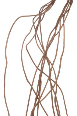 İpe tırmanma halatı havada uçuşuyor. Spor dağ hobisi için güçlü tırmanma ipi, tırmanma ipinin ağırlığını tutmak için güvenlik teçhizatı gerekir. Beyaz arkaplan izole