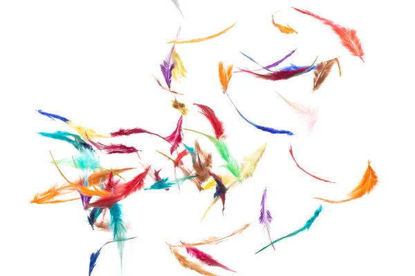 Πολλά Χρώμα Φτερό Μύγα Πτώση Όμορφο Μοτίβο Σπιράλ Στον Αέρα — Φωτογραφία Αρχείου