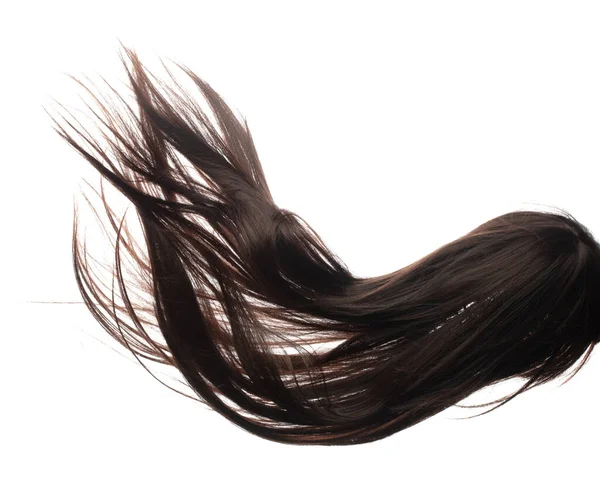 Dlouhý Rovný Paruka Účes Létat Podzim Exploze Vlasy Hnědé Ženy — Stock fotografie