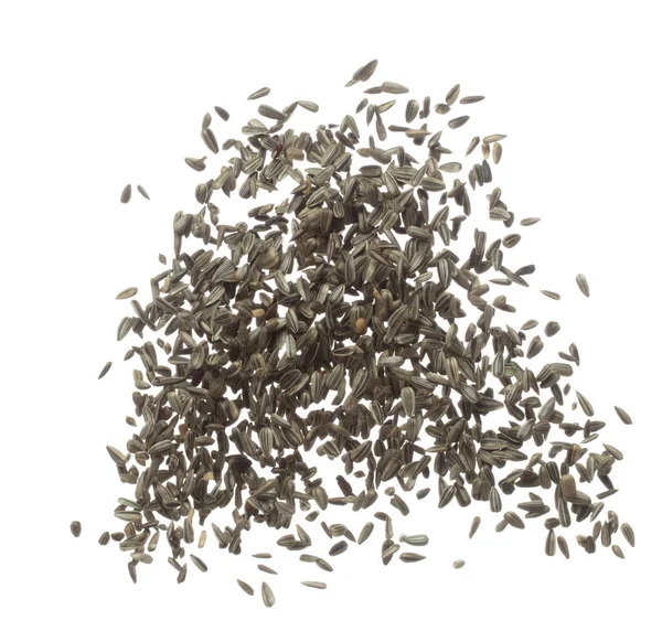Sunflower Seed Grain Fly Air Sunflower Seed Falling Scatter Explosion — Stock Photo, Image