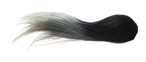 Zweifarbige Perückenfrisuren Fliegen Explosionsartig Weiße Schwarze Perückenhaare Schweben Der Luft — Stockfoto